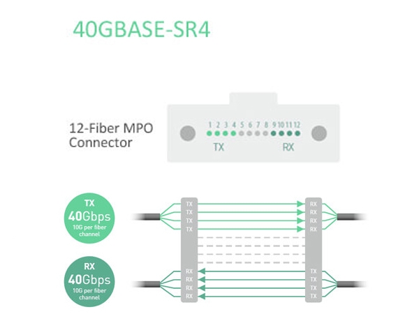 为什么数据中心需要 8 芯 MPO？